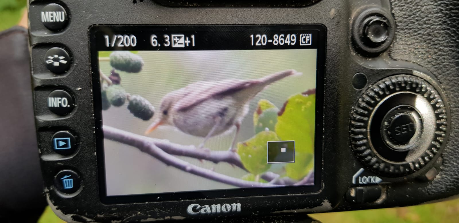 BOC Shot please help